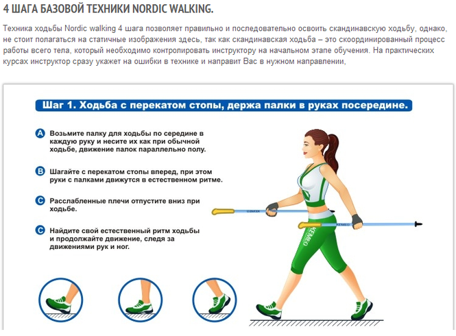 Техника шагов. Техника скандинавской ходьбы с палками для похудения. Методика обучения скандинавской ходьбе. Скандинавская ходьба техника выполнения. Скандинавская ходьба для начинающих техника ходьбы похудения.
